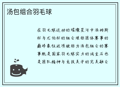 汤包组合羽毛球