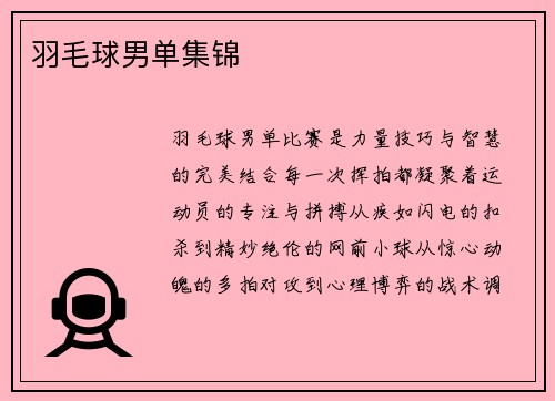 羽毛球男单集锦